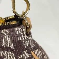 Dior Trotter Saddle One #BS3433 4