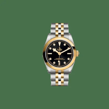 Tudor Black Bay One 36 S&G 2