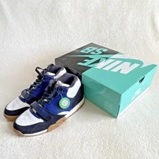 Nike SB — Nike SB Air 1 QS / -Deep CI6892-001 — Sneaker — resale