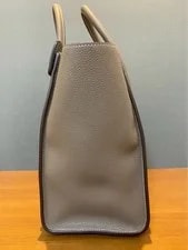 Celine Luggage Suri 9.8x10.2in 3