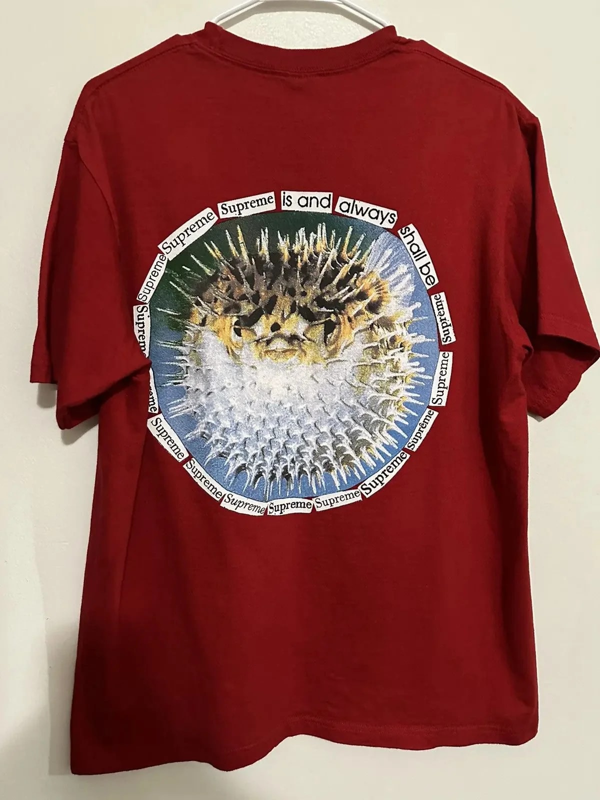 Supreme Blowfish Tee 2