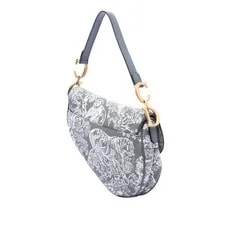 Dior Embroidered Reverse Saddle 2
