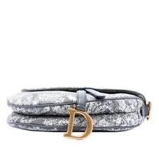 Dior Embroidered Reverse Saddle 3
