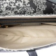 Dior Embroidered Reverse Saddle 4