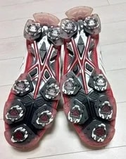 Mizuno Boa Golf Shoes Golf Model JPN Limited Edition Vhtf S 4