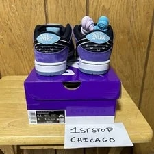 Hayley Wilson Nike SB Dunk Low ’S Size 6.5 Court Shoes HJ0513-500 NEW 4