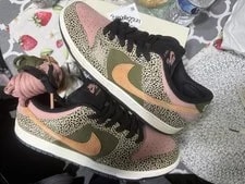 Nike SB Dunk LOW PRO QS Arts REC SAN Diego 11 IH3211-200 Safari 4
