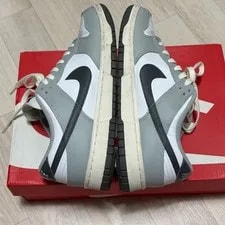 Nike Dunk Low Light Official 2