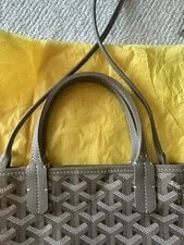 Authentic Goyard Pointier Limited Edition Color Full Set 3