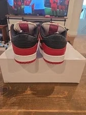 Nike SB Dunk Low J-Pack BQ6817-600 Size 11 Clean 4
