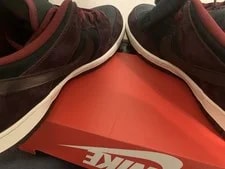 Nike Sb Dunk Low Riot Skateshop FZ1289-200 Size 18 SZ Jordan Rodeo 2