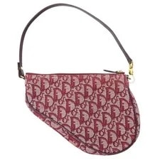 Christian Dior Trotter / Saddle -k154 2