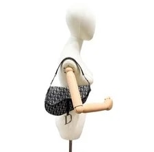 Dior Saddle Trim Trotter 3