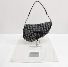 Dior Saddle Trim Trotter 4