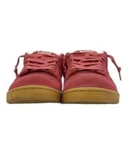 Nike Sb Dunk Low Pro BFr50 2