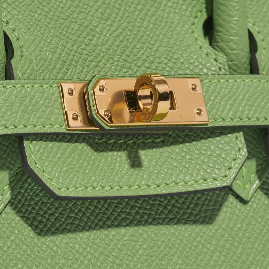 Hermès Birkin 25 Sellier Criquet 4