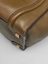 Celine Jungle Luggage 4