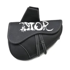 Christian Dior Saddle Peter Doig #SN416