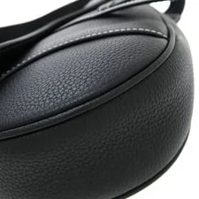 Christian Dior Saddle Peter Doig #SN416 3