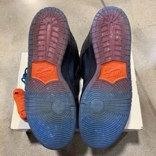 Nike Sb Dunk Bluetile 4