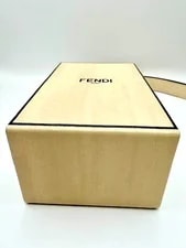 Fendi Vertical Box Roma Crossbody Dust New 3