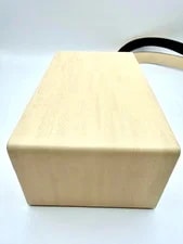 Fendi Vertical Box Roma Crossbody Dust New 4