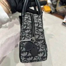 Christian Dior Trotter Double Saddle Small 4