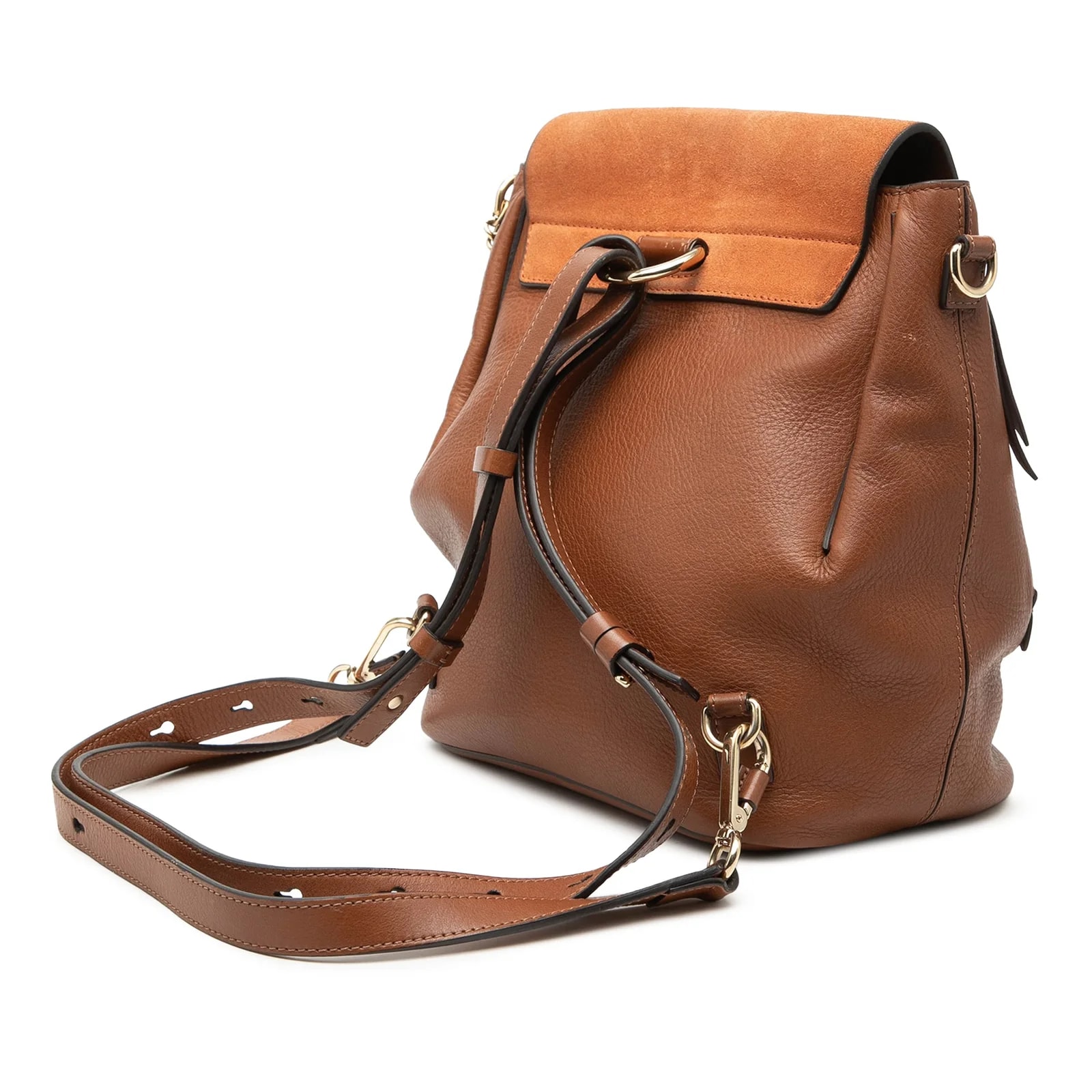 Medium and Faye Backpack 2
