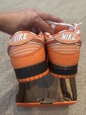9.5M Clean Nike SB Concept Dunk Low Lobster, FD8776-800 4