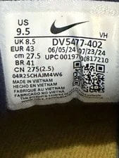 Nike SB Force 58 and Noble - Size 9 1/2 3