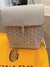 Goyard Alpin Backpack in Limited Edition Polar 2026 2