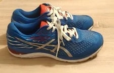 Asics Gel-cumulus 21 Tokyo Size 12 Running Shoes Limited Edition 2
