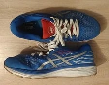 Asics Gel-cumulus 21 Tokyo Size 12 Running Shoes Limited Edition 3