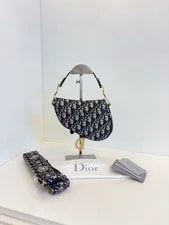 Christian Dior Saddle PM Crossbody Classic 2