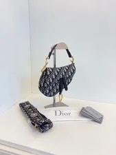 Christian Dior Saddle PM Crossbody Classic 3