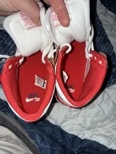 Size 10 - Nike SB Dunk Pro High Dream Team 3