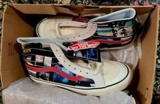 Vans X Daniel Russo Sk8-Hi – New With Tags – Size 10.5 – 4