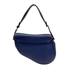 Dior Saddle Matte Hardware 2