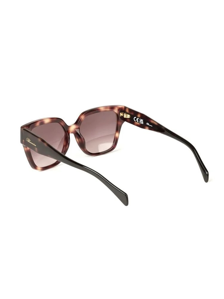 Blumarine — Blumarine Sbm905 Havana Acetate Sunglasses — — Accessory — resale