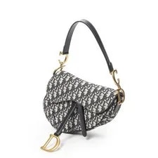 Dior / New Saddle 2