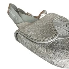Dior Mans Saddle (jj072426a2r) 3