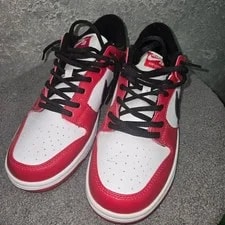 Nike SB Dunk Low Pro J-Pack BQ6817-600 10 2
