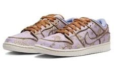 Nike SB Dunk Low City of Style FN5880-001 Size 3