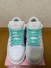 9.0US Supply Co Nike Sb Dunk Low Pro 2