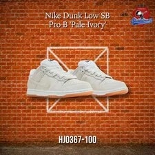 Nike SB Dunk Low Pro B Pale (HJ0367-100) 2