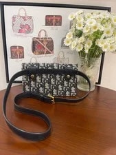 Dior Saddle Excellent 2