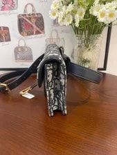 Dior Saddle Excellent 3