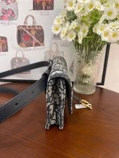 Dior Saddle Excellent 4