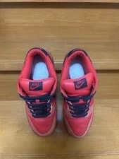 9.0US Nike Sb Dunk Low Blood Devil 2