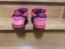 9.0US Nike Sb Dunk Low Blood Devil 3